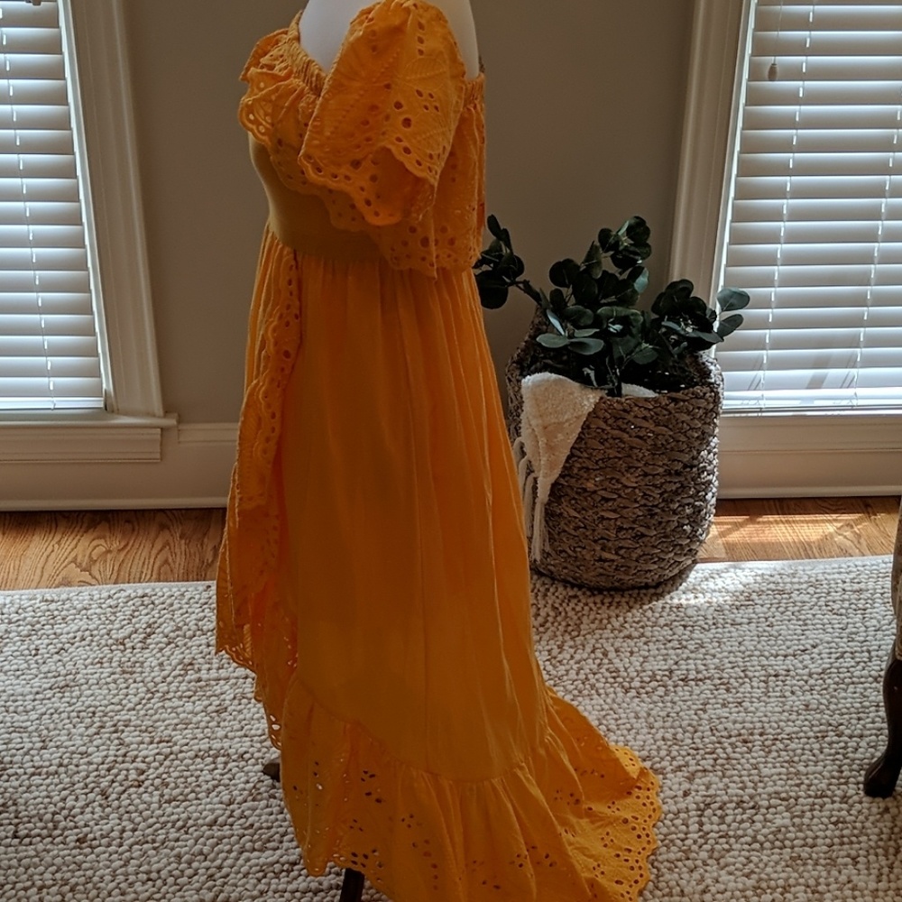 Free The Roses Rachel Maxi Dress - Picture 3 of 3